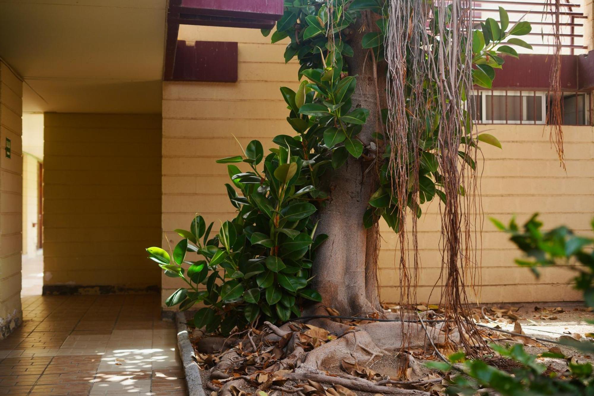 Apartamento El Gato Costa Del Silencio Exterior photo